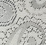 ペイズリーグレー