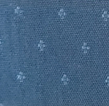 ピンドットブルー